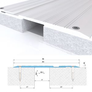 Dewmark SG 36/300