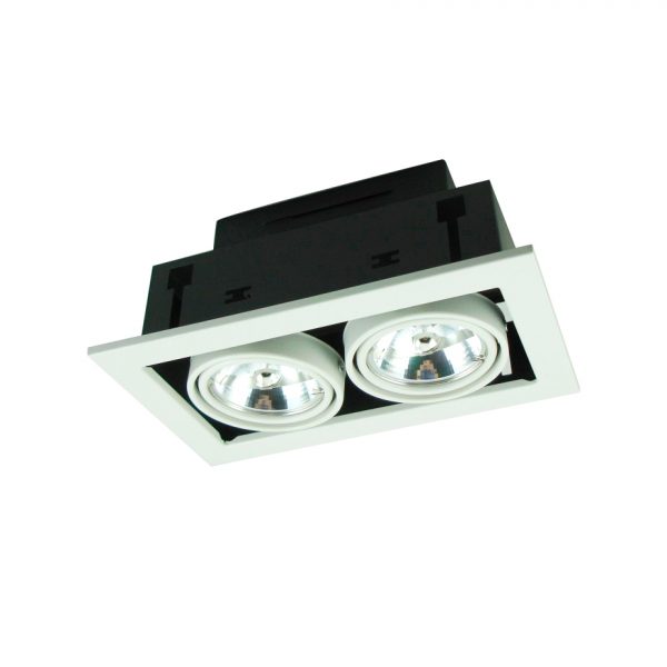 Встраиваемый светильник Arte Lamp Technika A5930PL-2SI