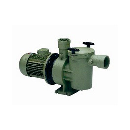 Насос с префильтром Astral Aral SP-3000 220-600В Серия