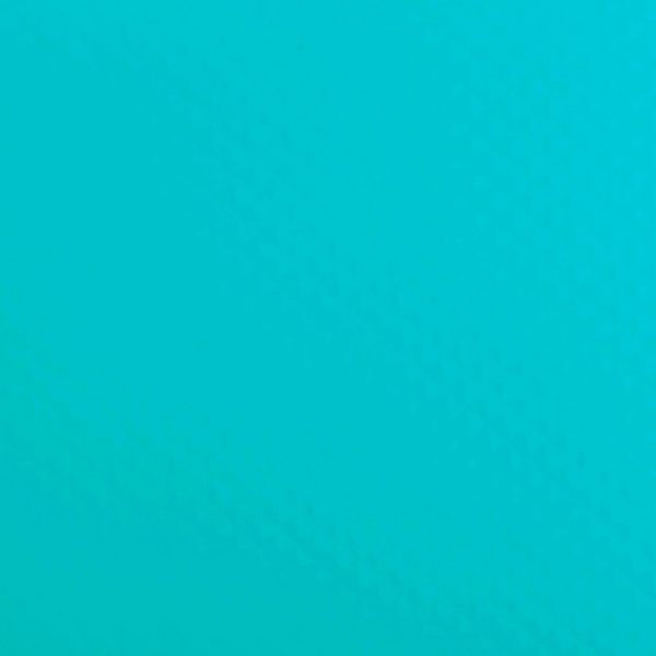 RENOLIT ALKORPLAN 2000 1.65м. Caribbean Green