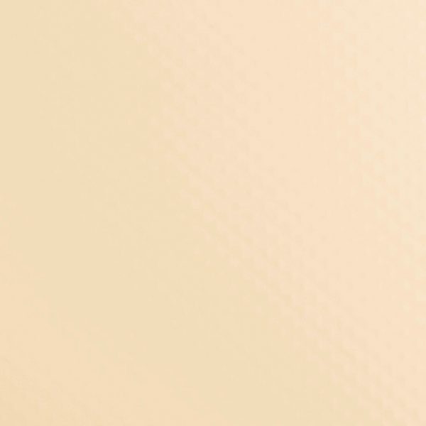RENOLIT ALKORPLAN 1000 1.65м. Sand
