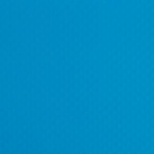 RENOLIT ALKORPLAN XTREME 1.65м. Azur