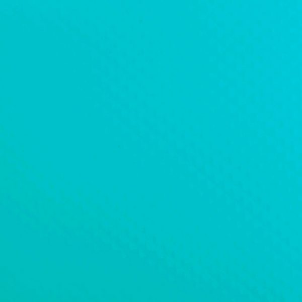RENOLIT ALKORPLAN 1000 1.65м. Caribbean Green
