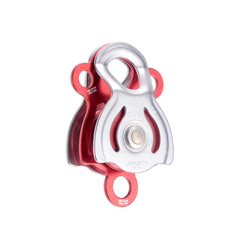 JANUS PRO