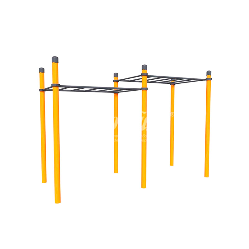 Воркаут «Рукоход двухуровневый Задор»