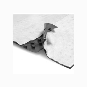 tefond_drain__membrana-250x250 tefond_drain__membrana-250x250